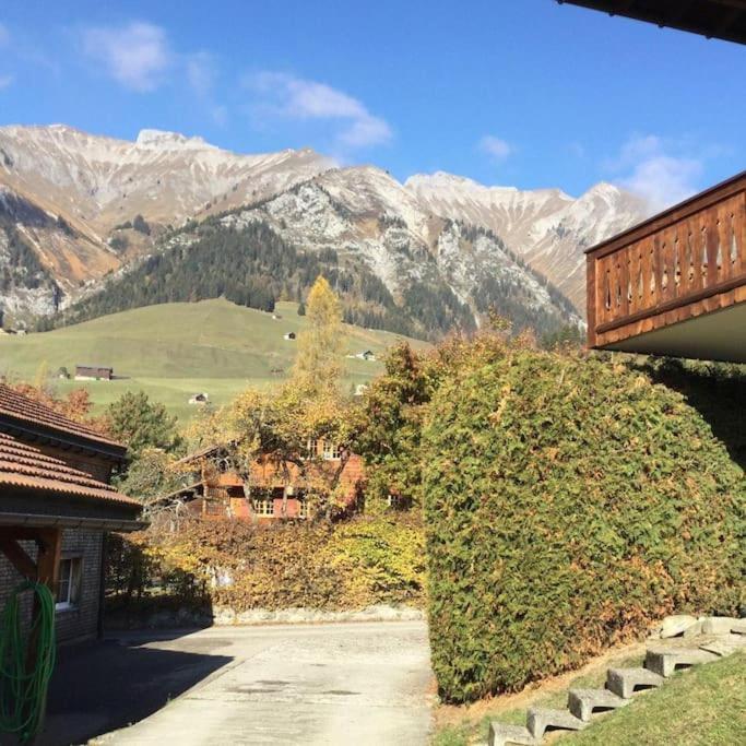Cozy Apartment In The Heart Of The Alps Chateau-d'Oex Kültér fotó