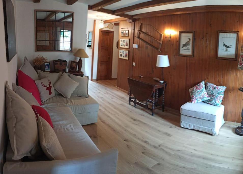 Cozy Apartment In The Heart Of The Alps Chateau-d'Oex Kültér fotó