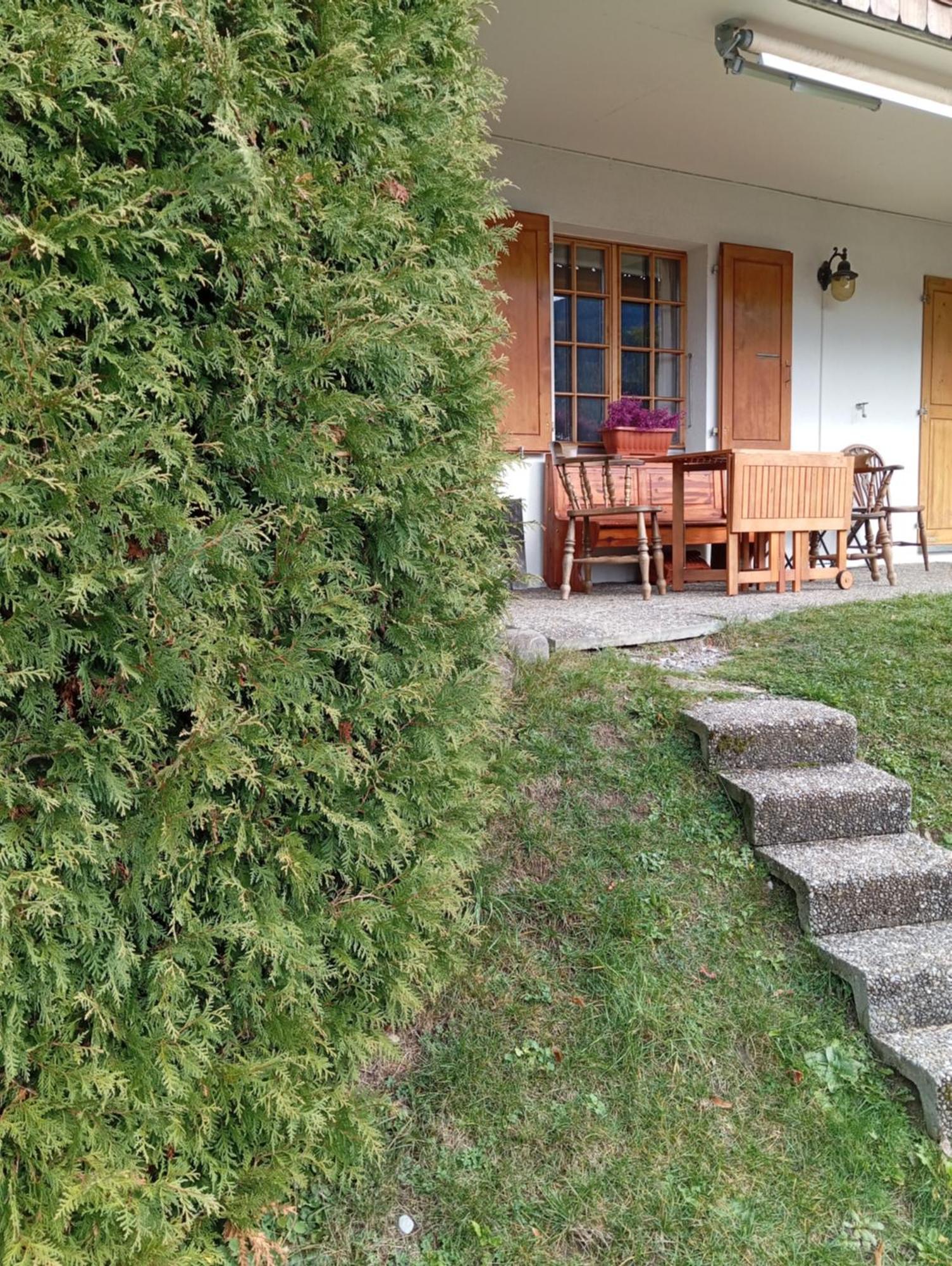 Cozy Apartment In The Heart Of The Alps Chateau-d'Oex Kültér fotó