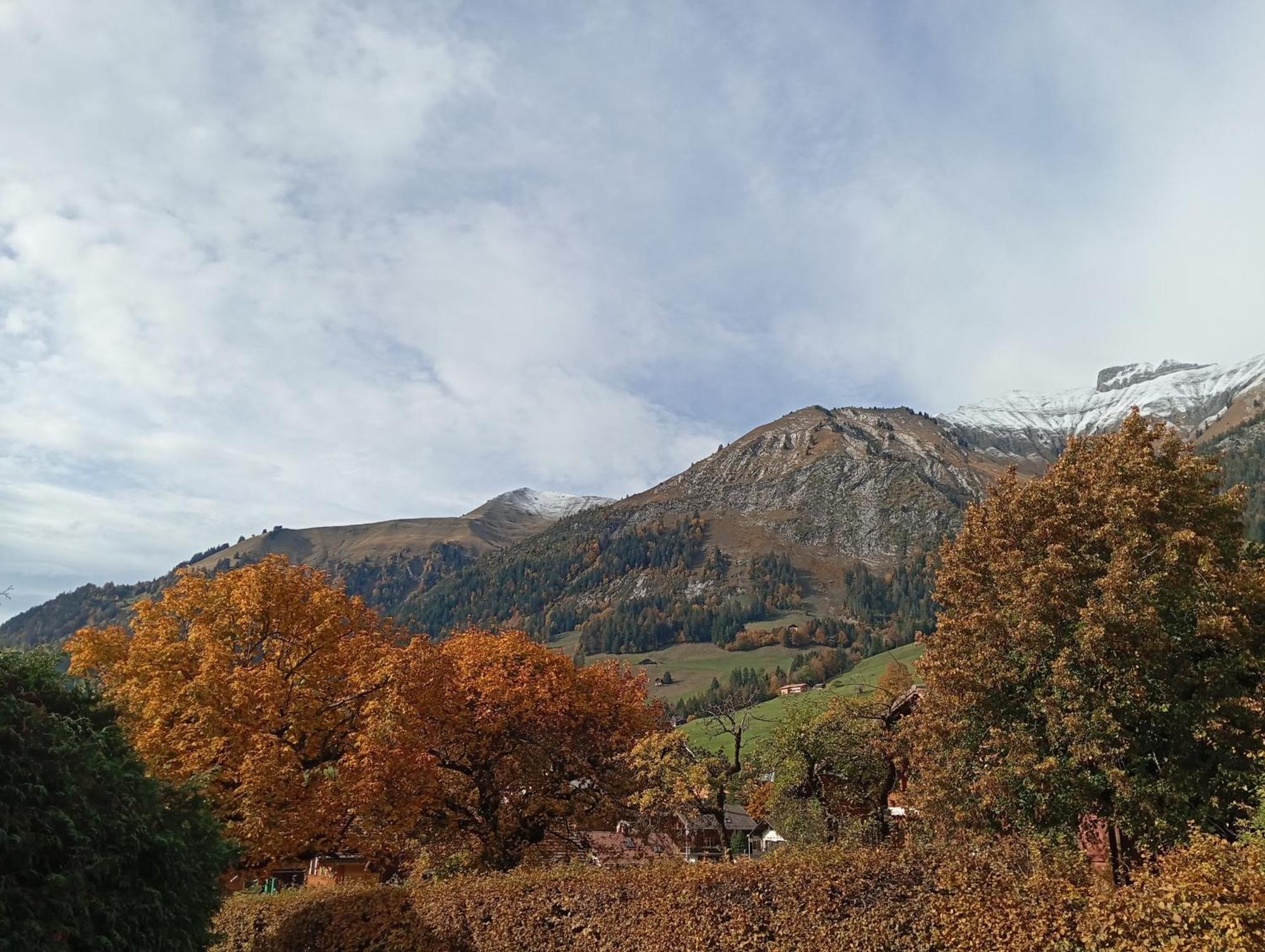Cozy Apartment In The Heart Of The Alps Chateau-d'Oex Szoba fotó
